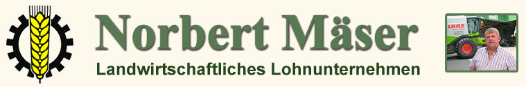 Norbert M&auml;ser